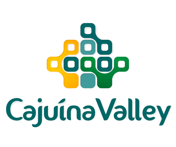 Capa de Cajuína Valley